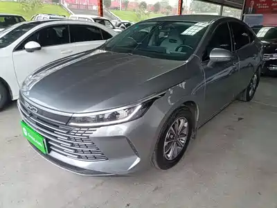 BYD Destroyer 05 2024