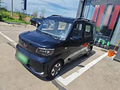 Wuling Motors Zhiguang NEV 2026