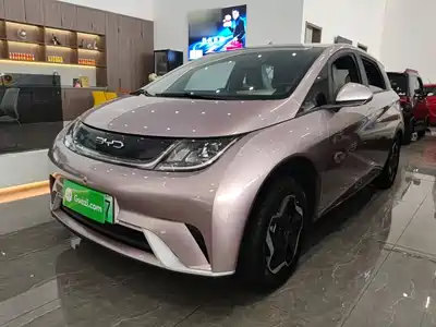 BYD Dolphin 2022