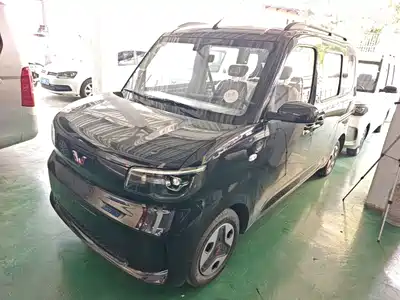 Wuling Motors Zhiguang NEV 2026