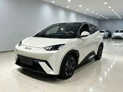 BYD Seagull 2024