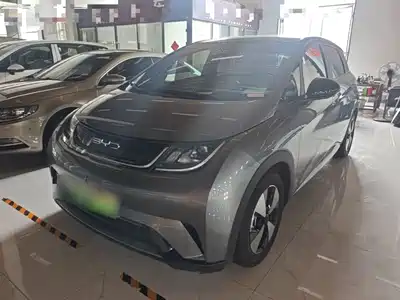 BYD Dolphin 2024