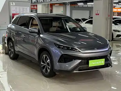 BYD Song Pro New Energy 2024