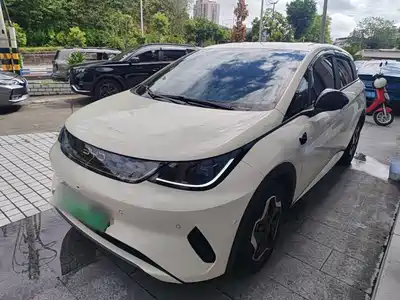BYD Dolphin 2025