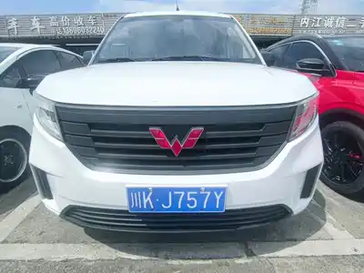 Wuling Motors Hongguang PLUS 2020