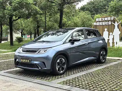 BYD Dolphin 2024