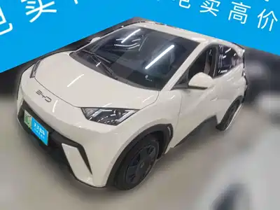 BYD Seagull 2024