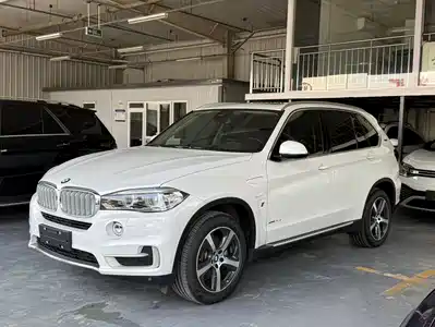 BMW X5 New Energy(Imported) 2017