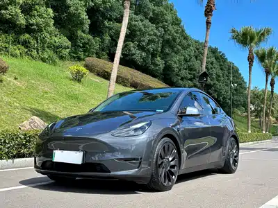 Tesla Model Y 2022