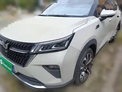 Wuling Motors Xingchen 2022