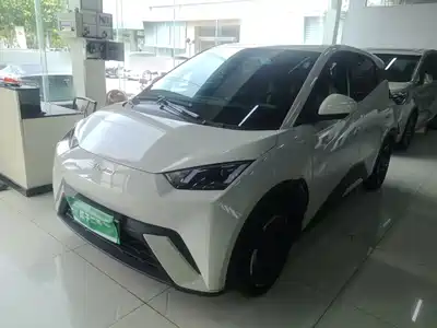 BYD Seagull 2024