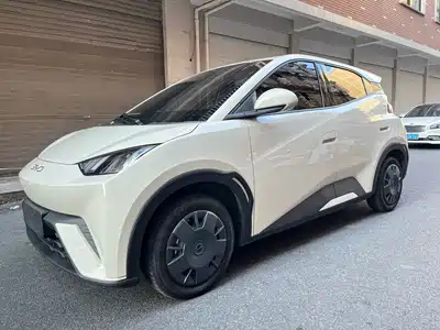 BYD Seagull 2025