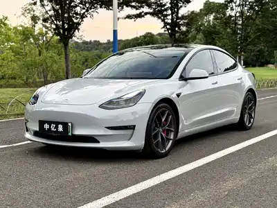 Tesla Model 3 2021