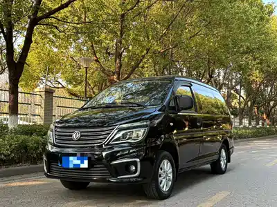Dongfeng Fengxing Lingzhi 2016