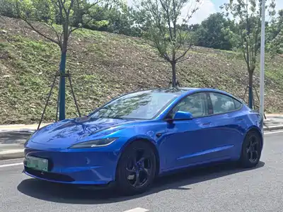 Tesla Model 3 2024