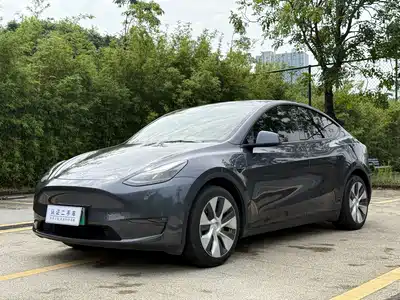 Tesla Model Y 2021