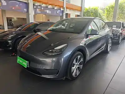 Tesla Model Y 2021