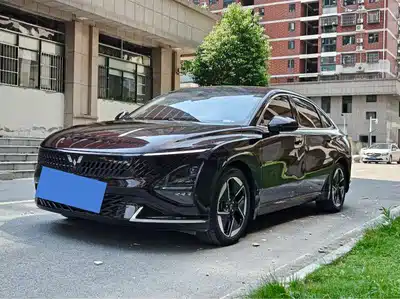 Wuling Motors Xingguang 2024