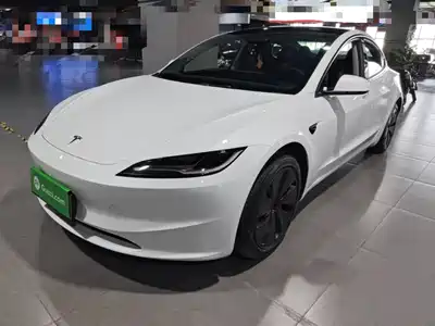 Tesla Model 3 2025