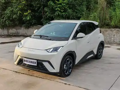 BYD Seagull 2024