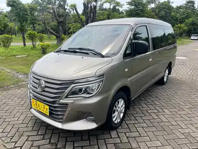 Dongfeng Fengxing Lingzhi 2020