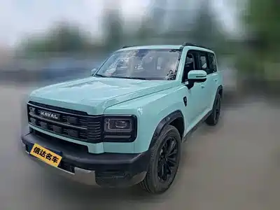 Haval Meng Long NEV 2025