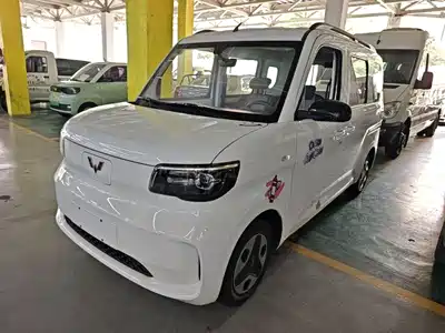 Wuling Motors Zhiguang NEV 2026
