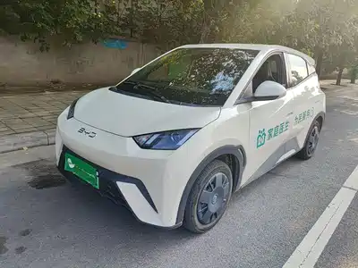 BYD Seagull 2025
