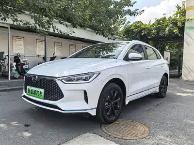 BYD e2 2021