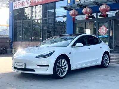 Tesla Model 3 2020