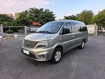 Dongfeng Fengxing Lingzhi 2020