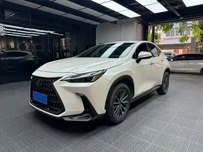 Lexus NX 2022