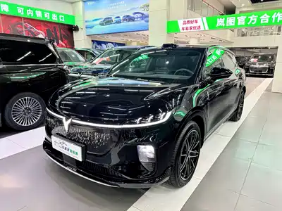 Voyah Auto Zhiyin 2025