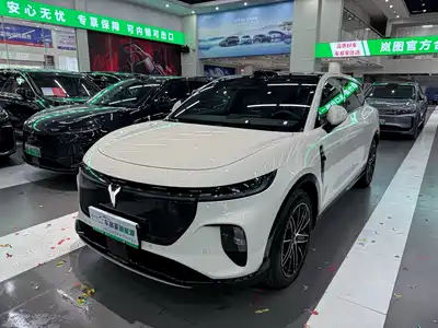 Voyah Auto Zhiyin 2025