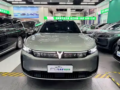 Voyah Auto FREE 2025