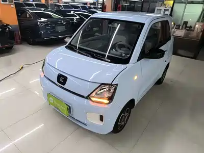 Dongfeng Fengguang MINIEV 2024