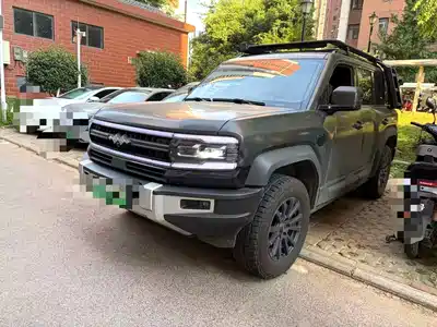 Fang Cheng Bao Leopard 5 2024