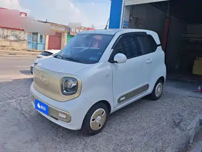 Besturn Pony 2024