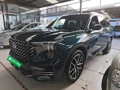 GAC Trumpchi GS8 2021