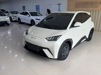 BYD Seagull 2024