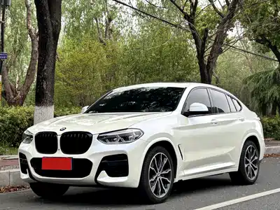 BMW X4 2021