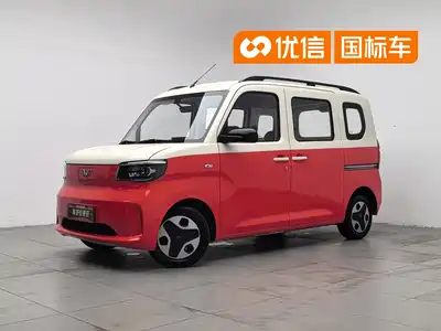 Wuling Motors Zhiguang NEV 2025