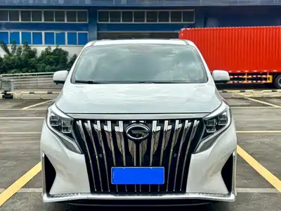 GAC Trumpchi M8 2020