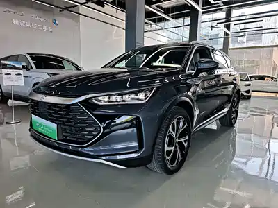 BYD Tang New Energy 2024