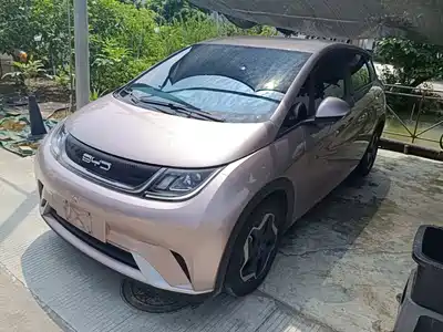 BYD Dolphin 2023
