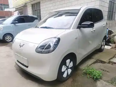 Wuling Motors Hongguang MINIEV 2025