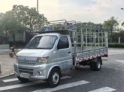Changan Kaicheng Shenqi T20 2020