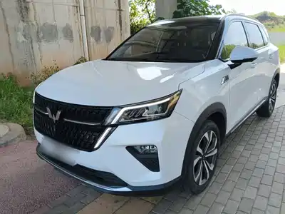 Wuling Motors Xingchen 2022