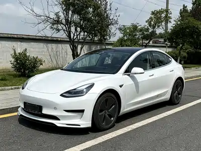 Tesla Model 3 2020