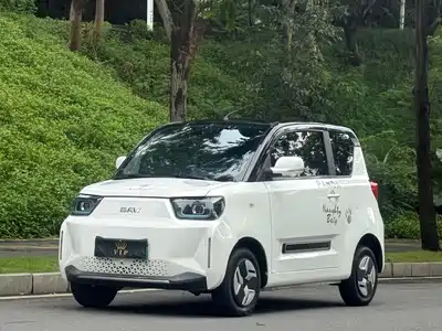 BAW (Beijing Automobile Works) Yuanbao 2023